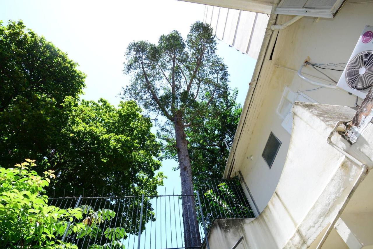 Cozy Flamengo - 3 Hospedes, Conforto E Privativo! Rio de Janeiro Buitenkant foto